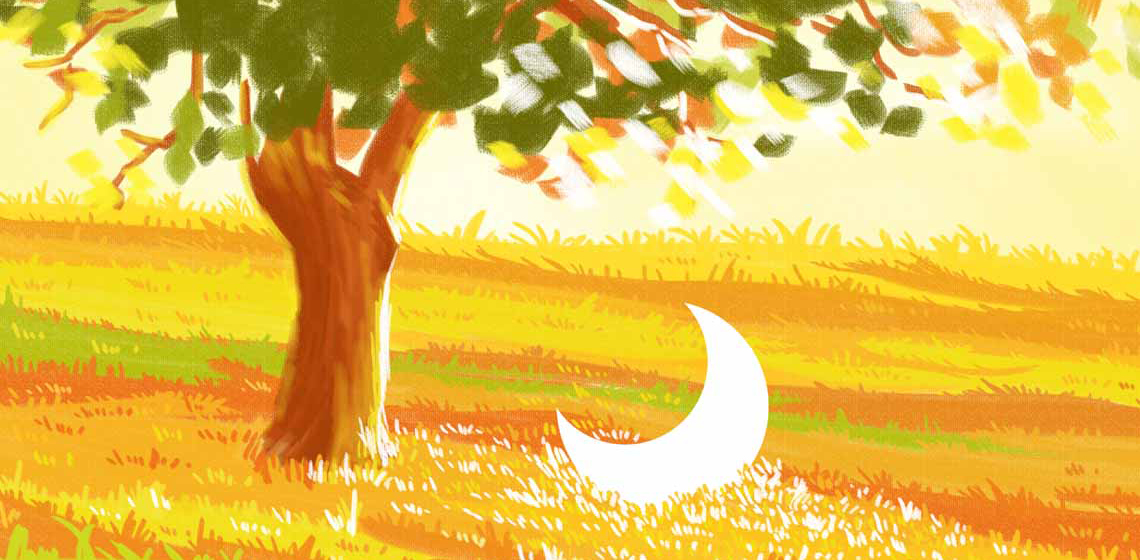 又到一年规划时