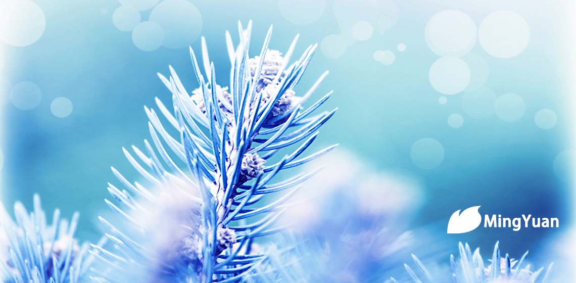 渐渐懂得了不惑的意思