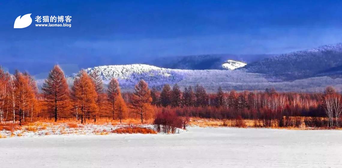 走到哪里下到哪里的雪