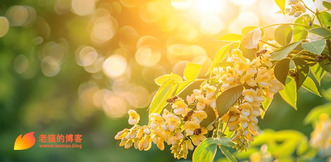 博客图片文件转移至COS