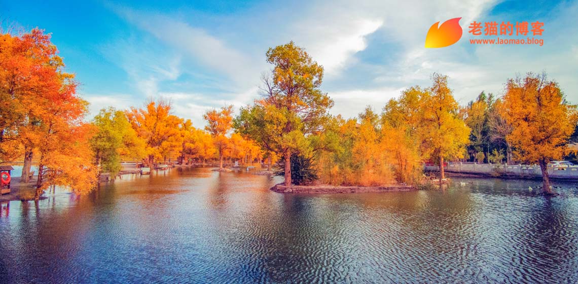 关于试点开放国际资本设立独资医院的一些思考