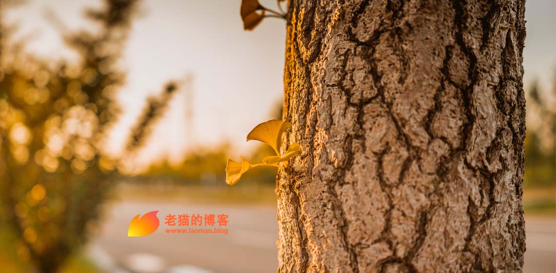 秋风起，行业再迎变化