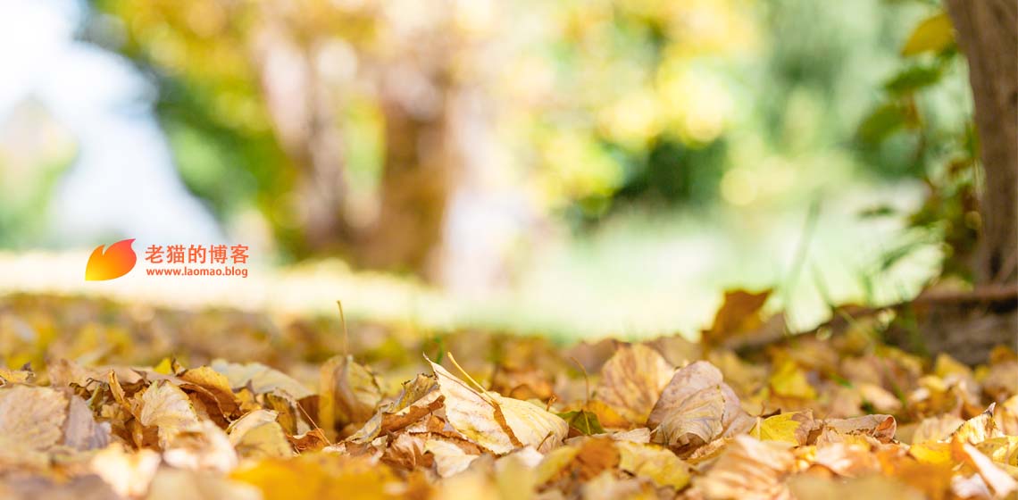 身边的朋友不断地在转型