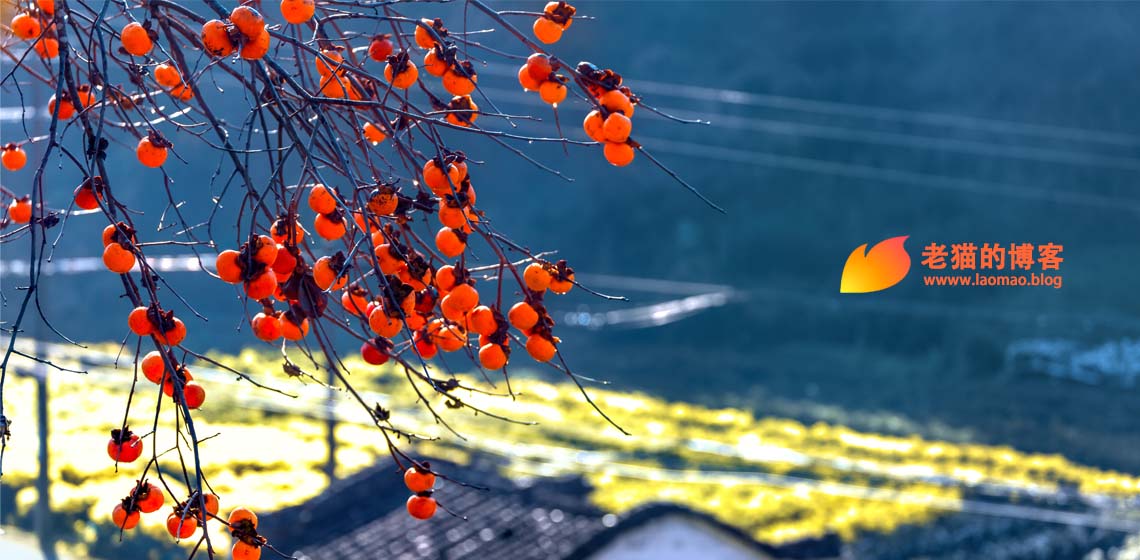 投入医药代表大军中