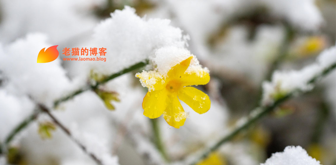 药品降价和DRG执行后的新矛盾开始显现