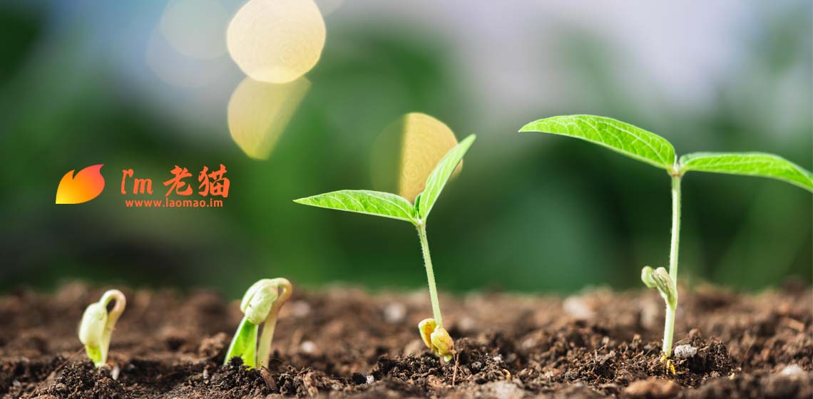 注册了一个域名maiteyi.com