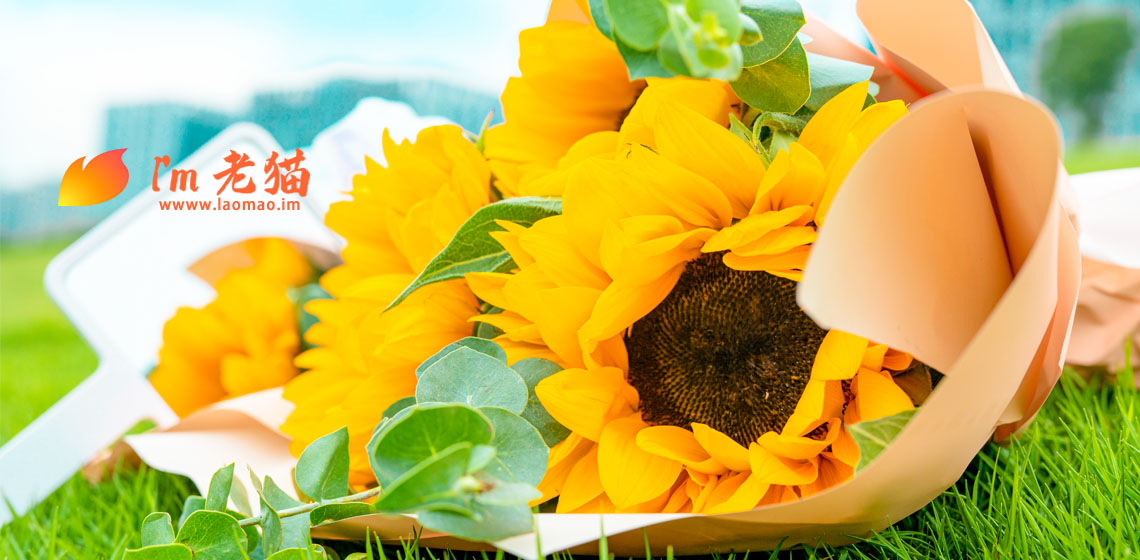 六月前12天都在培训