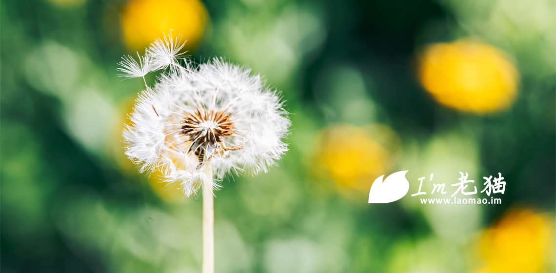 Ghost的依赖还是不好搞