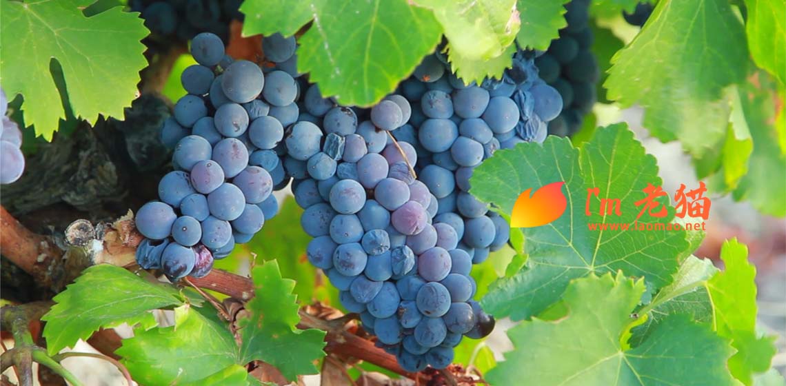 不停地折腾啊折腾