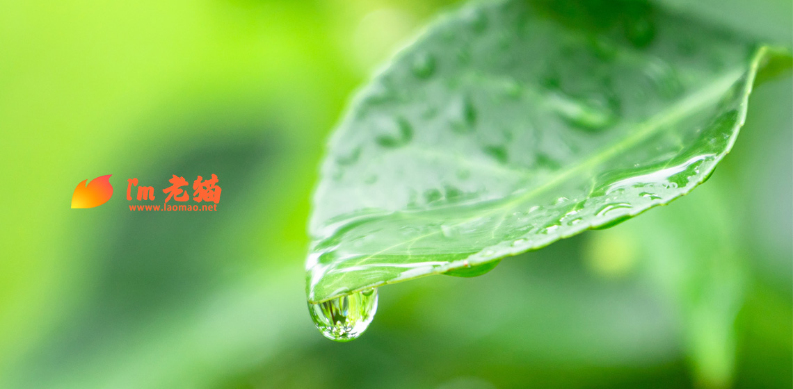 从一个坑跳出来，再入另外一个坑