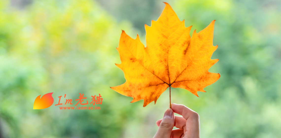 在医药招商中的甲乙双方博弈