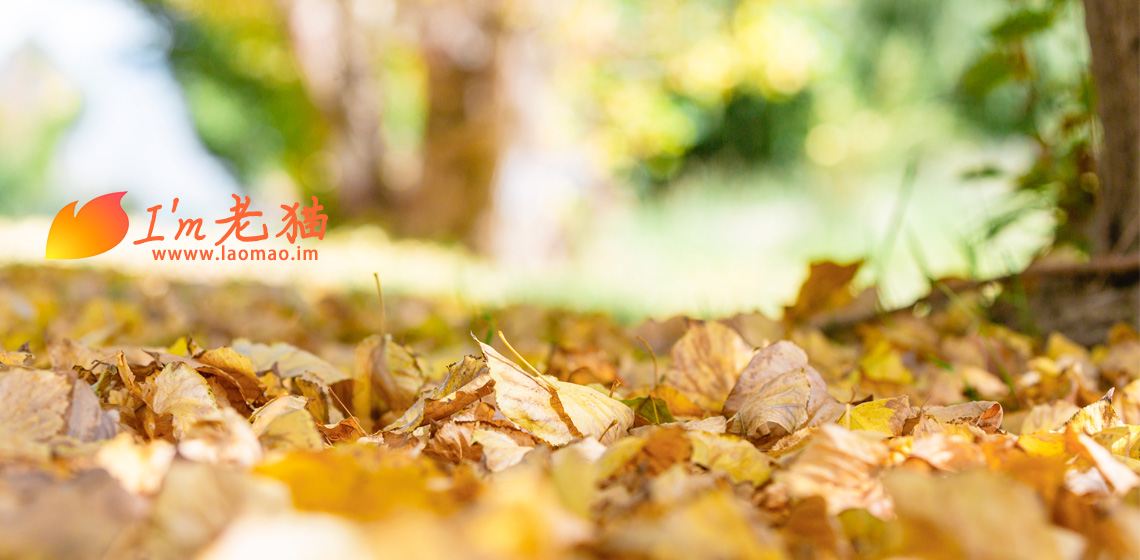 这两天网络上预制菜的事又开始吵得沸沸扬扬