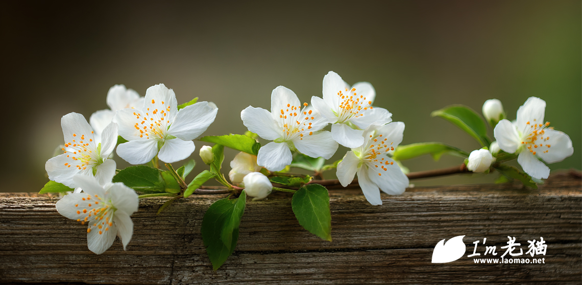 满则溢，还是低调点好