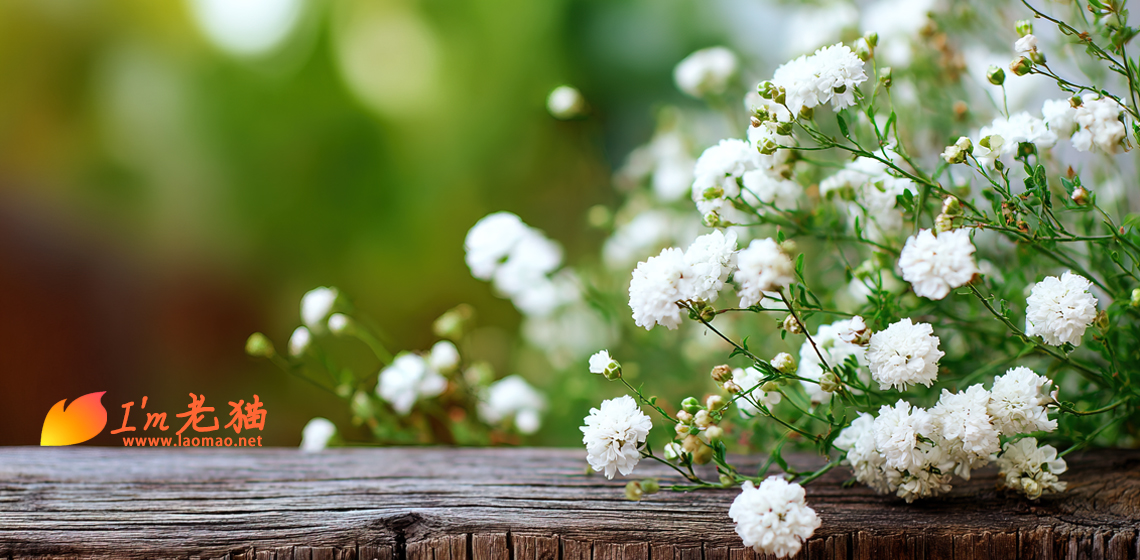 时代淘汰的时候连声招呼都不会打