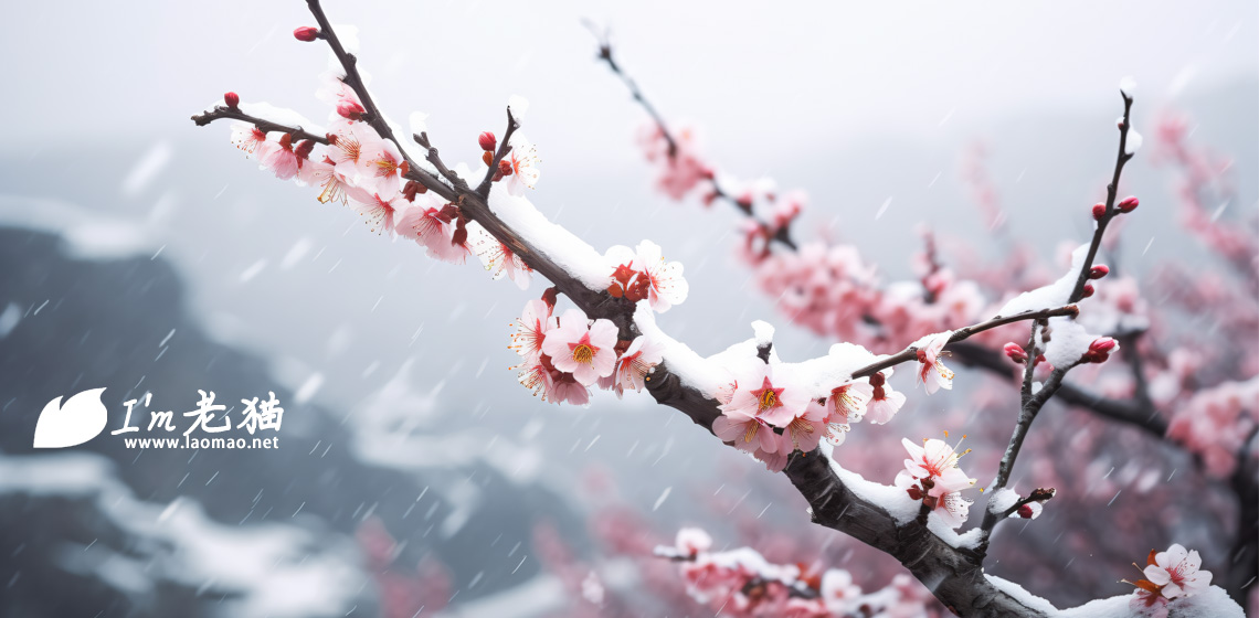 也来聊聊“人民史观”