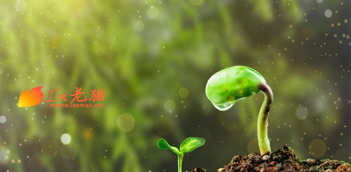 又要去外地工作了