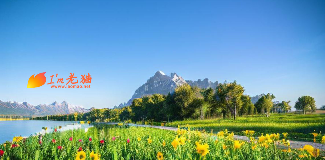 小朋友成了一个小麻烦