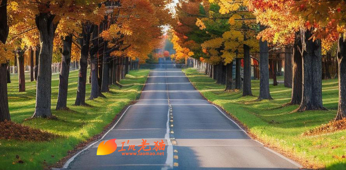 整理一下网站文件