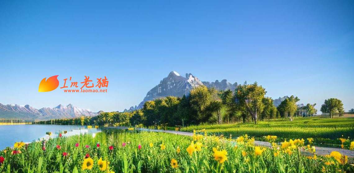 今年过得太艰难了